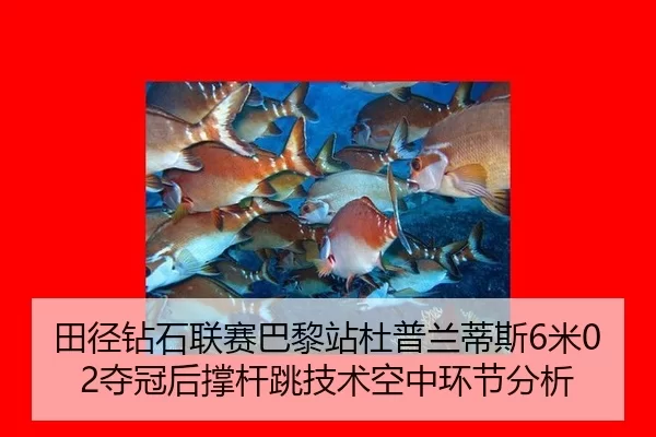 田径钻石联赛巴黎站杜普兰蒂斯6米02夺冠后撑杆跳技术空中环节分析