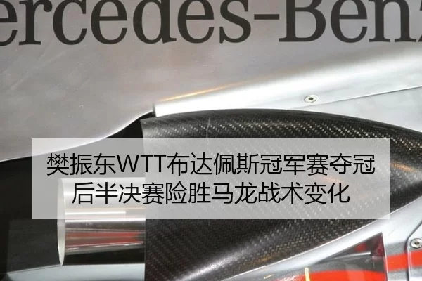樊振东WTT布达佩斯冠军赛夺冠后半决赛险胜马龙战术变化